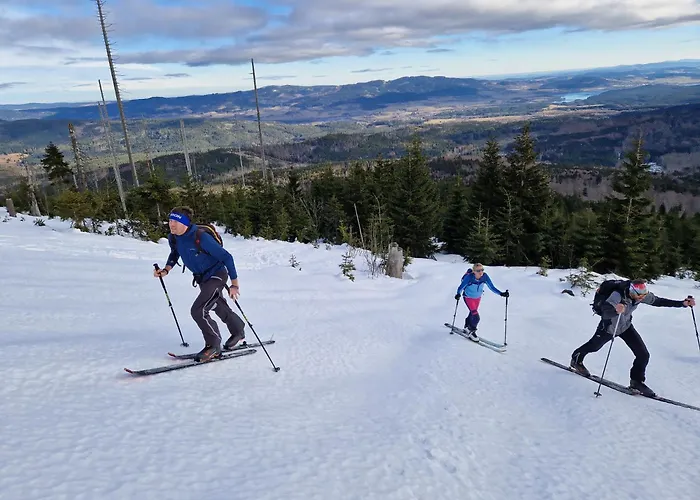 Relax Lipno 2 U Pláže Windy Point Černá v Pošumaví
